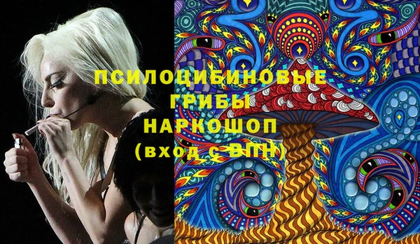 каннабис Ельня